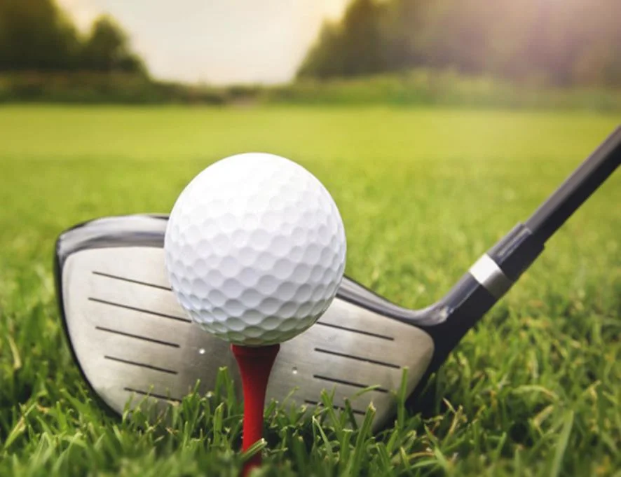 Customized Printing Logo Promotion Gift Training/Tournament 2/3/4 Layer Golf Balls