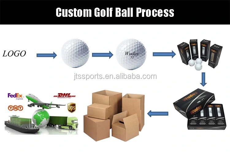 Long Distance Custom Logo 2 PC Layer Surlyn Golf Distance Ball