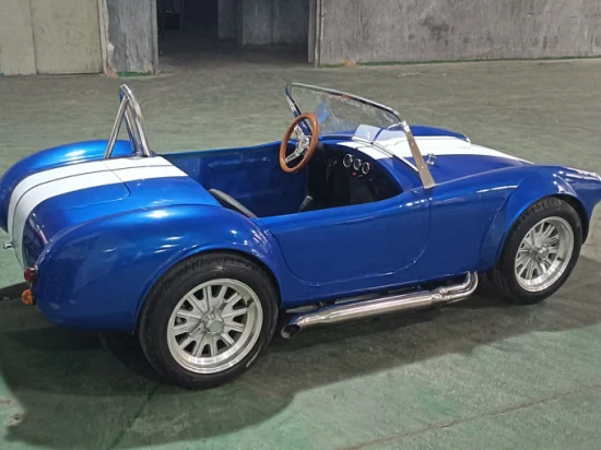 New Design Widen Four Wheeler Atvs Electric Racing Cobra Beetle Mini Car