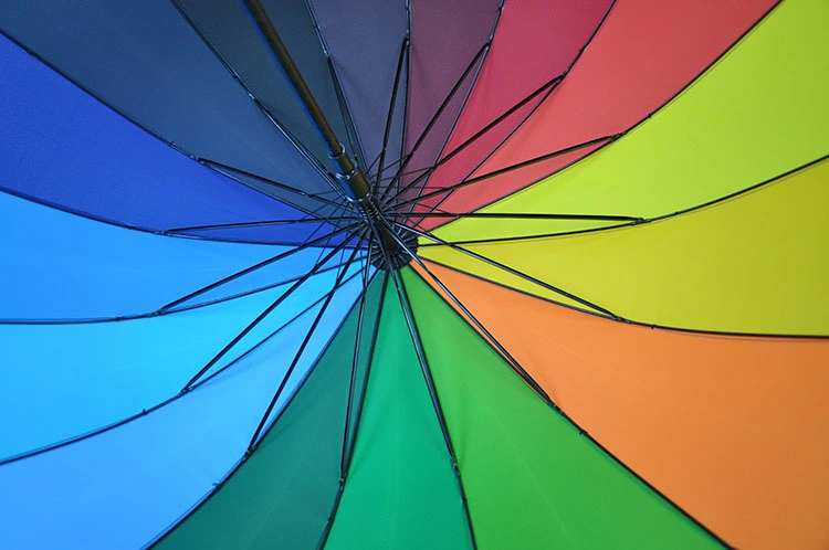Factory Direct Source Rain Protection Japan Korea Printed Auto Straight Rainbow Umbrella