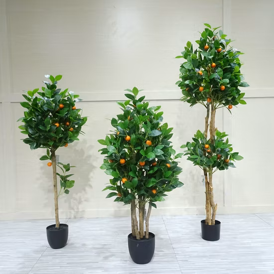 Old Tree Head 93 Fruits Ping an Jinju Artificial Plant