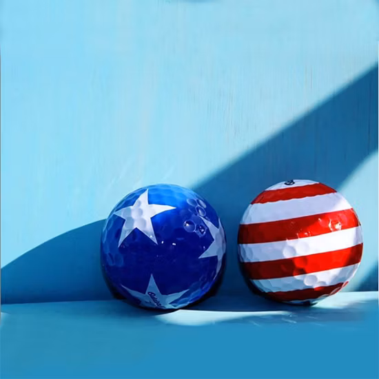 Long Distance Custom Logo 2 PC Layer Surlyn Golf Distance Ball